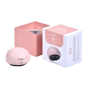 pack anti cellulite IVY